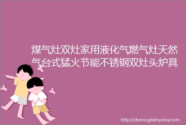 煤气灶双灶家用液化气燃气灶天然气台式猛火节能不锈钢双灶头炉具