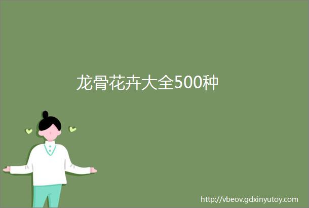 龙骨花卉大全500种