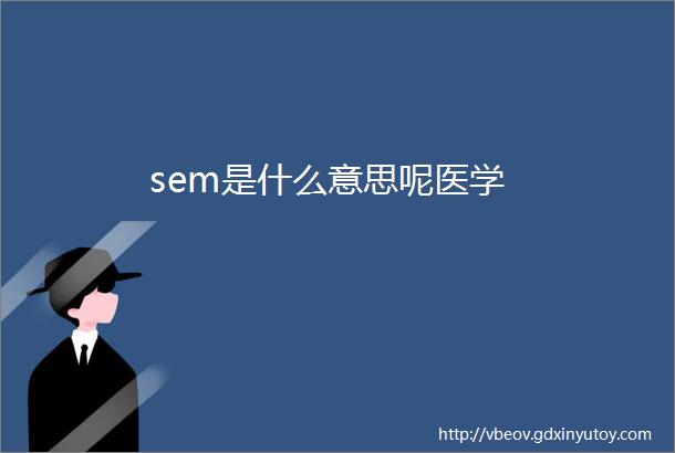 sem是什么意思呢医学